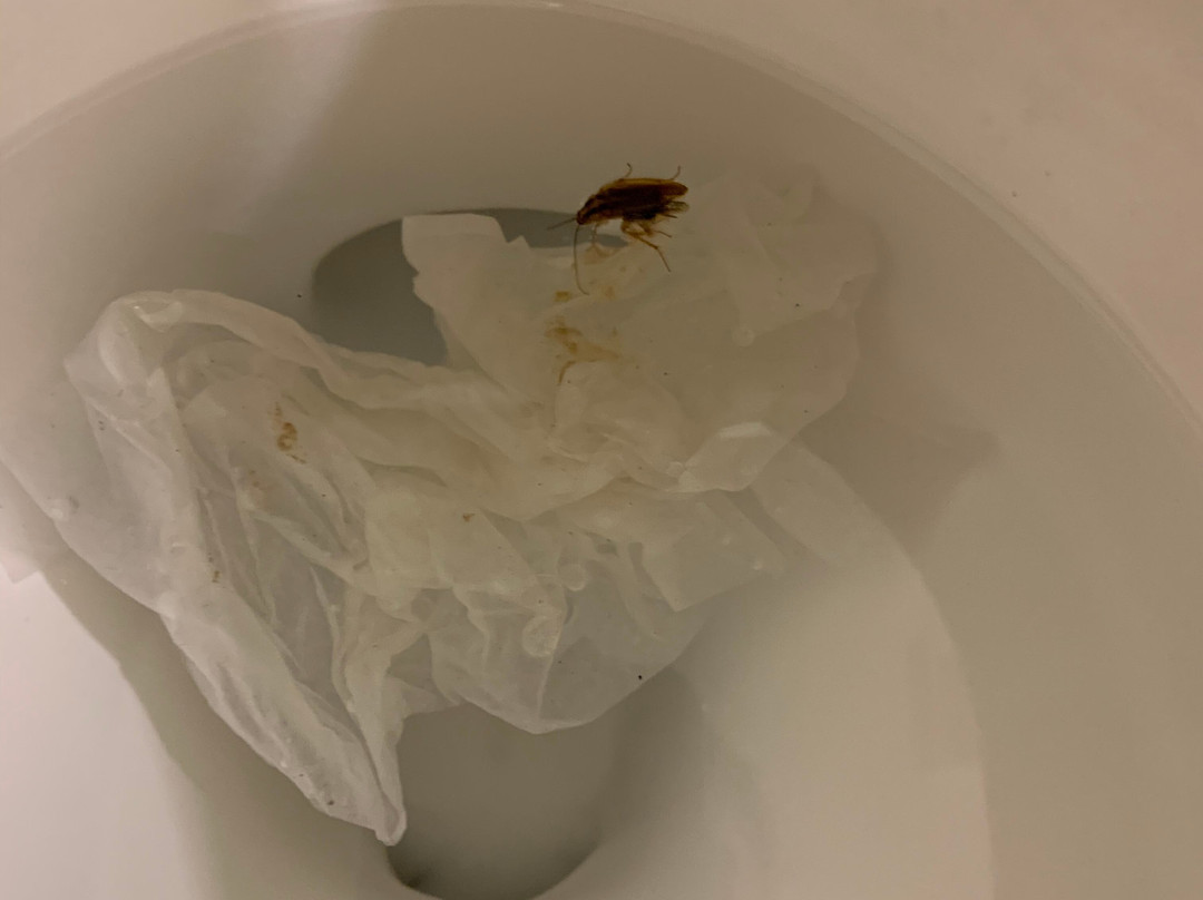 Sleep Inn & Suites Port Charlotte-Punta Gorda主图