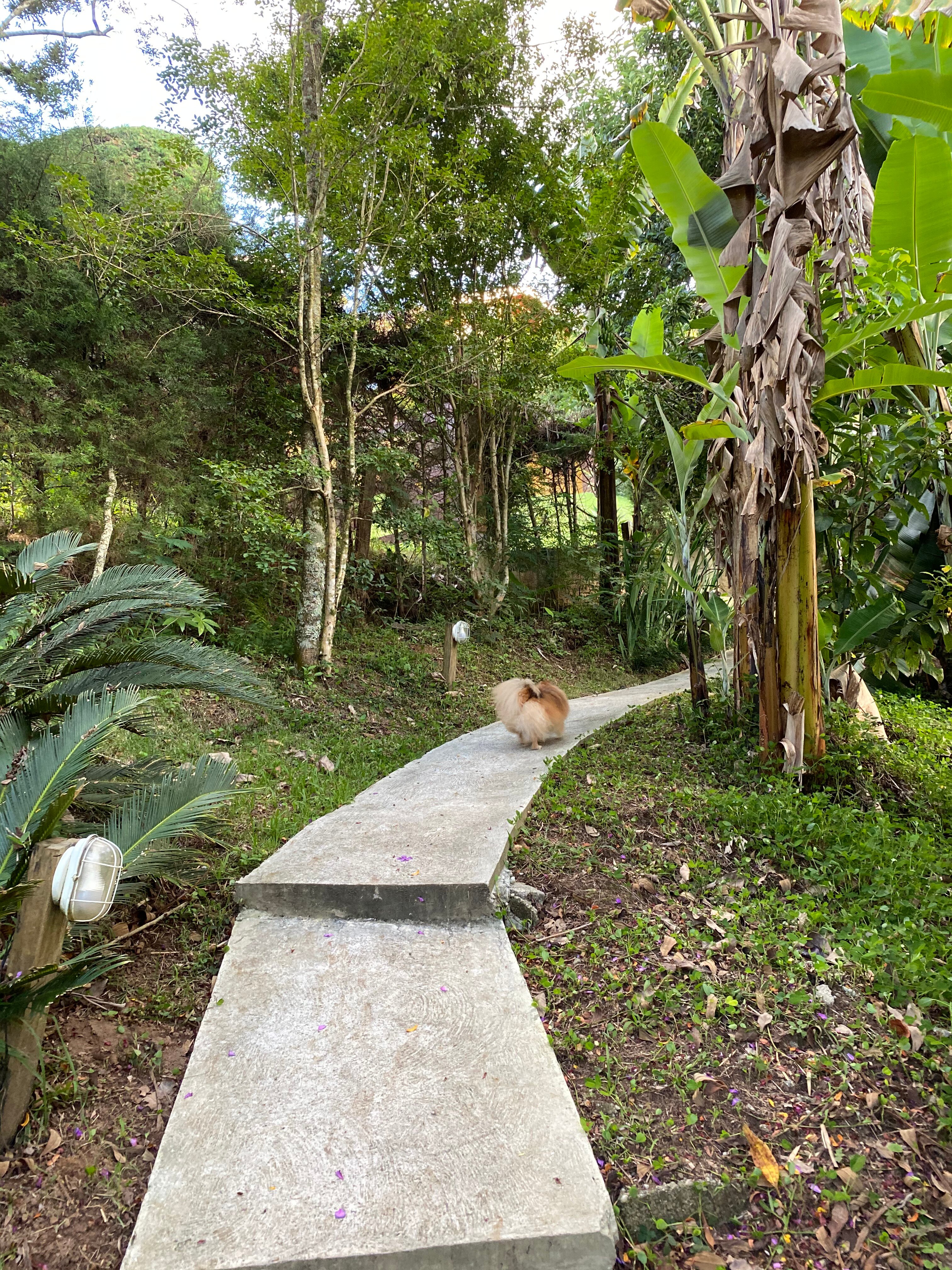 Pousada Quatro Estações-浴室