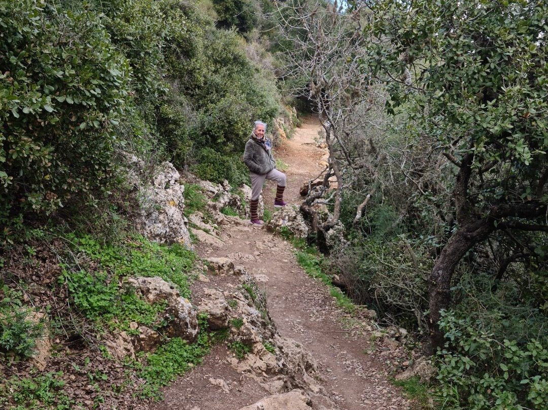 Mount Meron Nature Reserve景点图片
