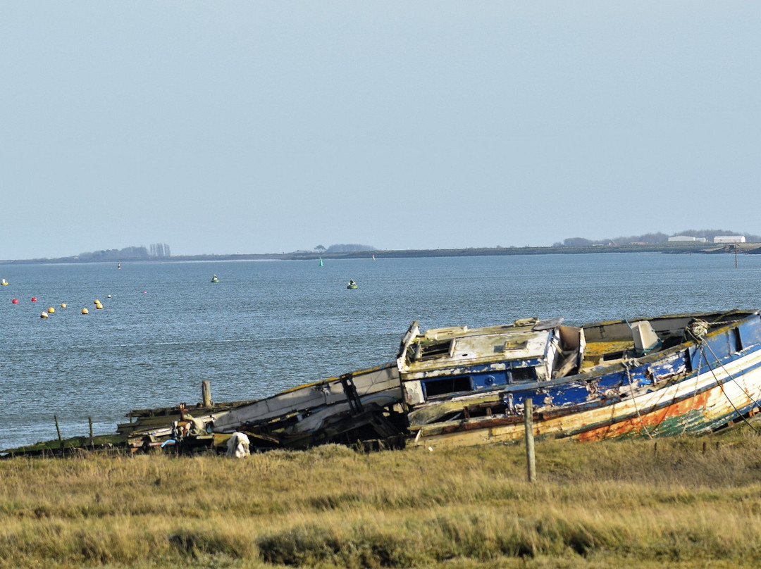 Wallasea Island Wild Coast景点图片