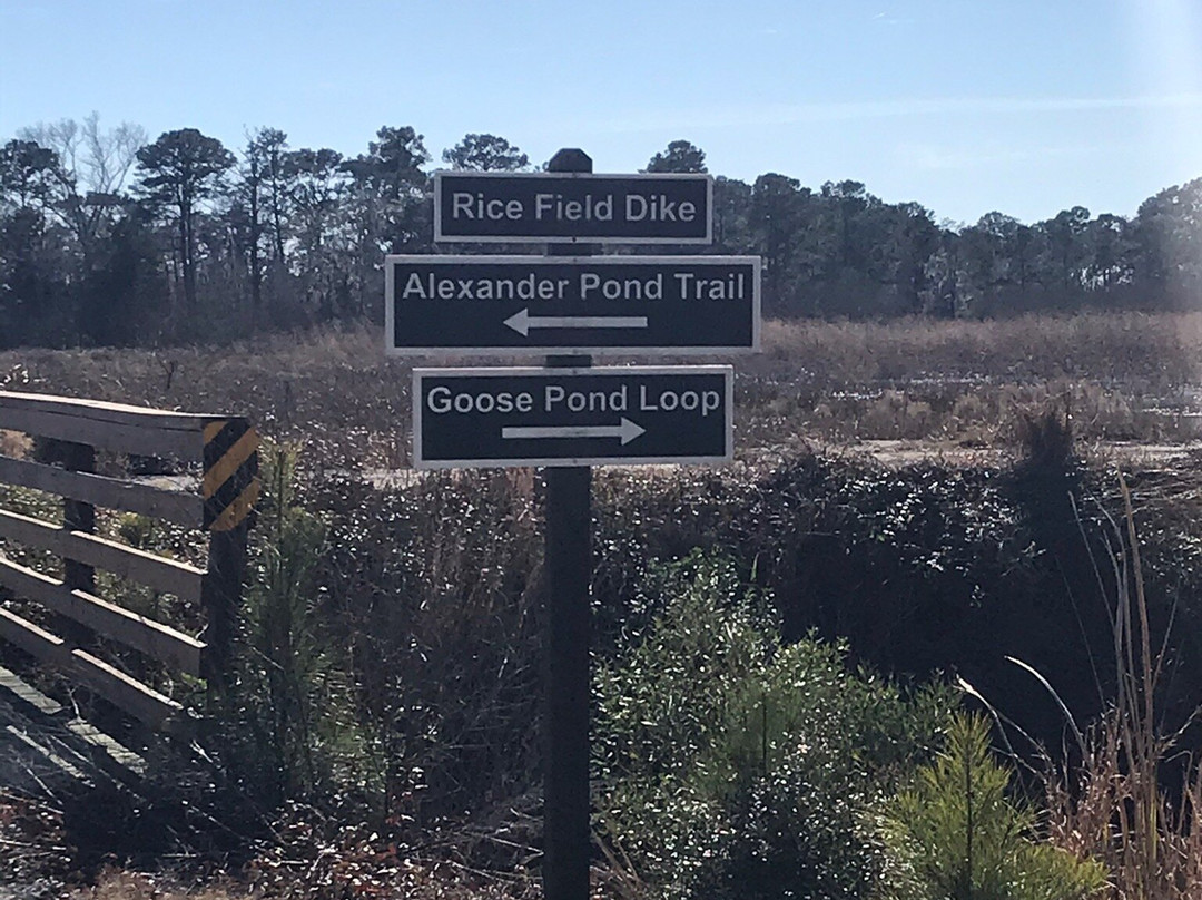 ACE Basin National Wildlife Refuge景点图片
