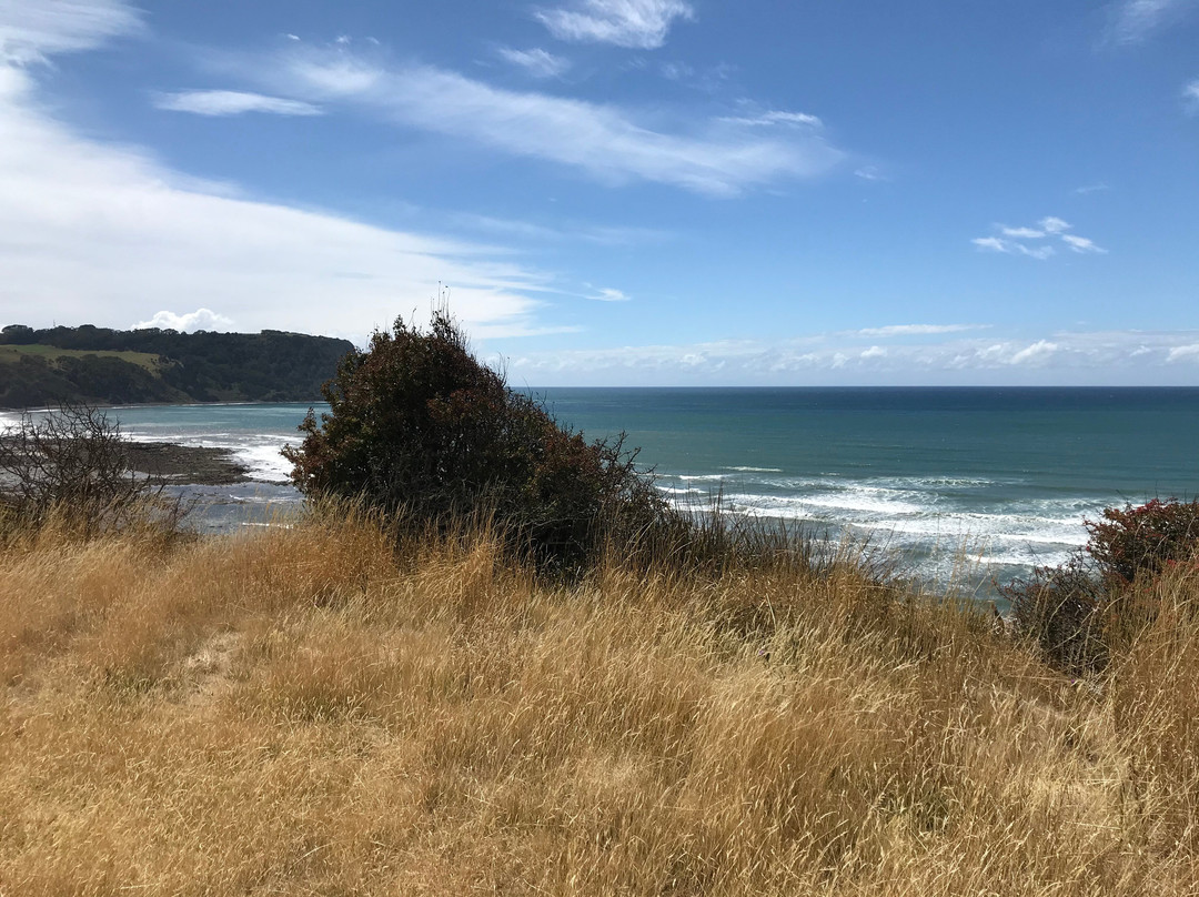 Fossil Bluff-温耶德必去景点