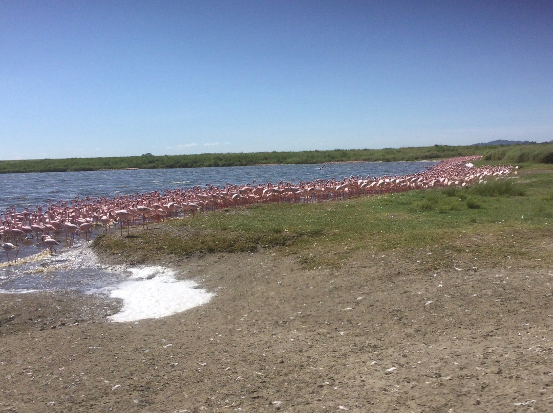 Godson Adventures Plains 2 Peaks-阿鲁沙必去景点