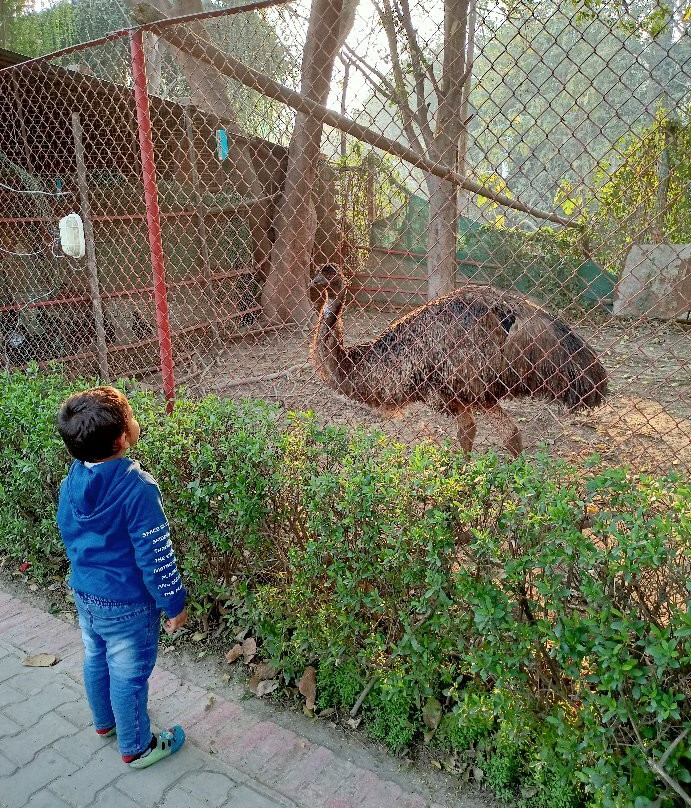 The Lake Paradise-Rudrapur必去景点