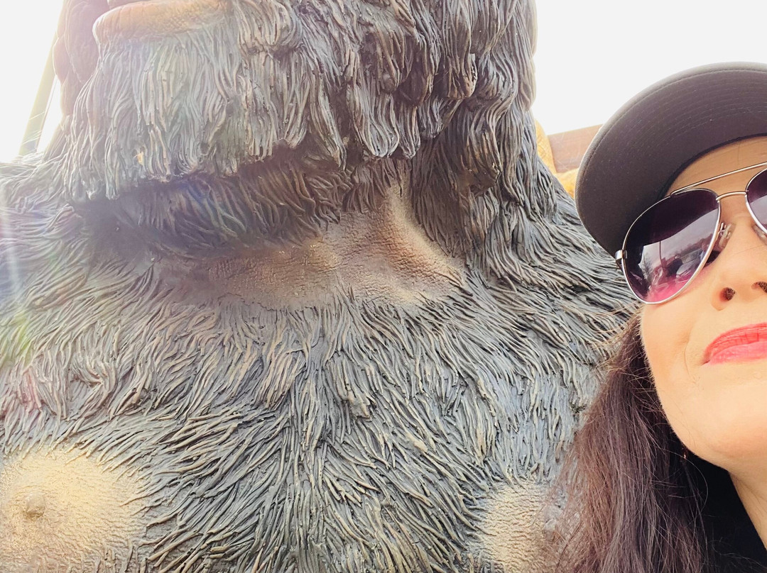 Skunk Ape Research Center-奥乔皮必去景点