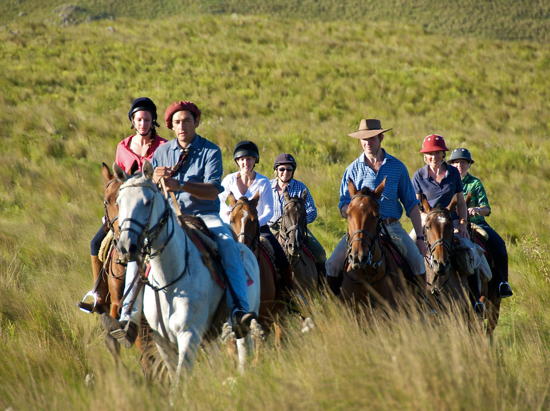 Aliwen Incoming DMC Argentina-布宜诺斯艾利斯必去景点