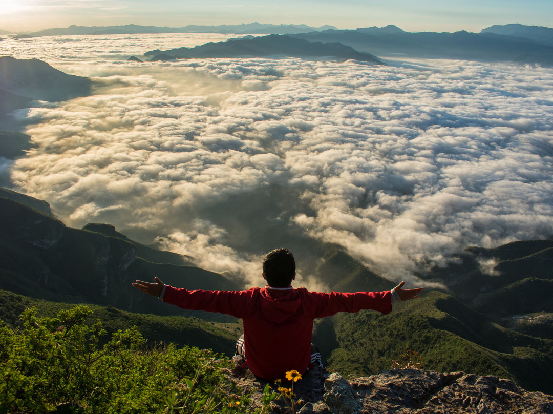Sierra Gorda Ecotours