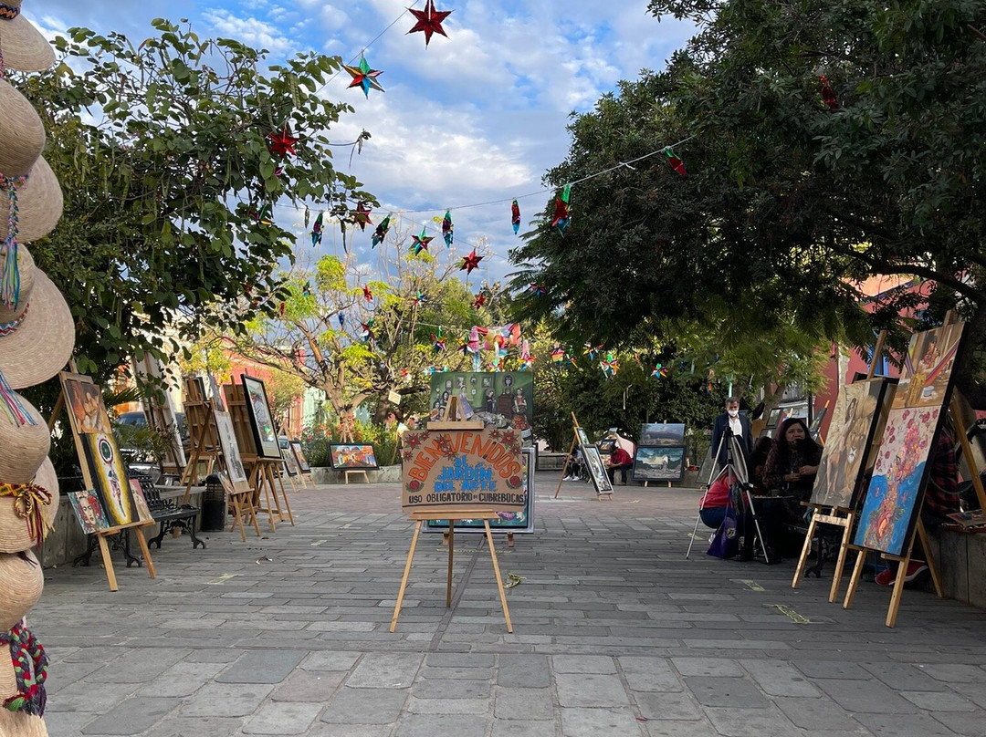 Parque Juarez  El Llano-瓦哈卡必去景点