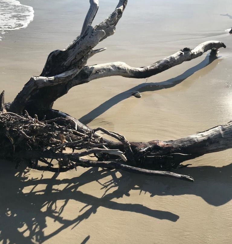 Grandview Nature Preserve-汉普顿必去景点