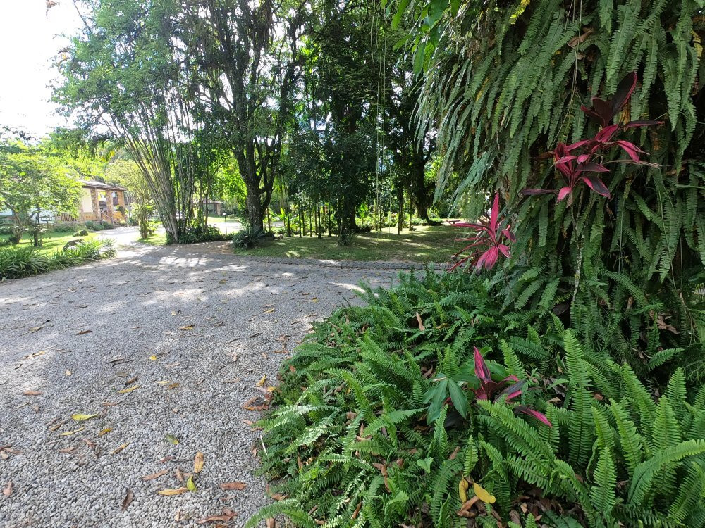 Pousada Chacara das Acacias主图