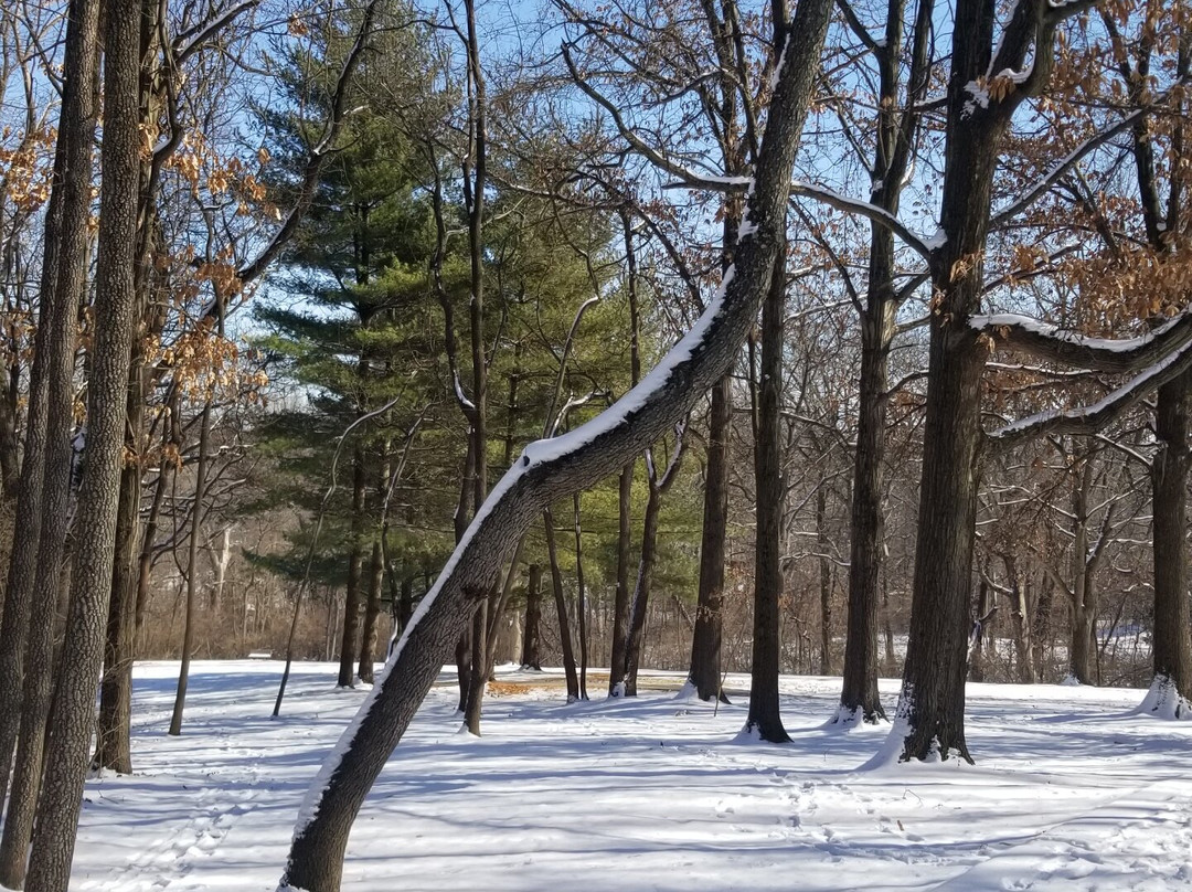 McDonnell County Park-Saint Ann必去景点