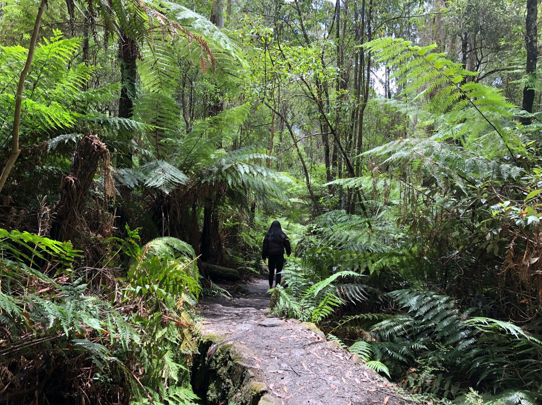 La La Falls-华伯登必去景点