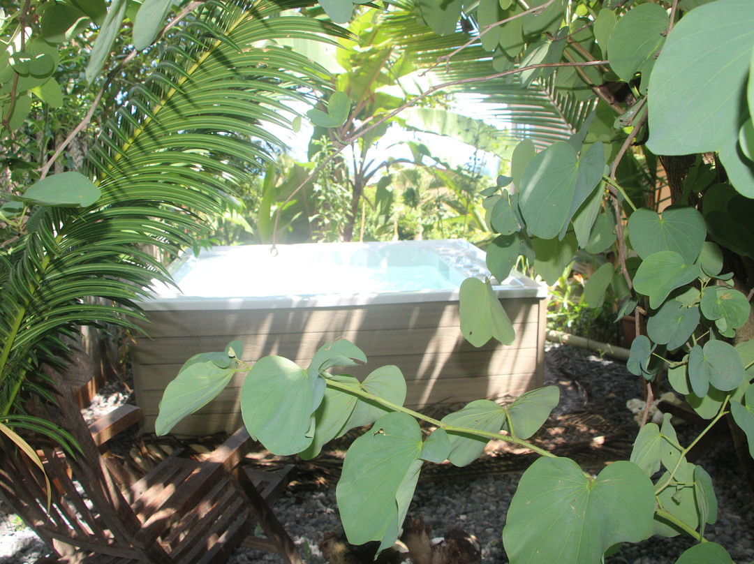 Le Lodge de l'Avocatier主图