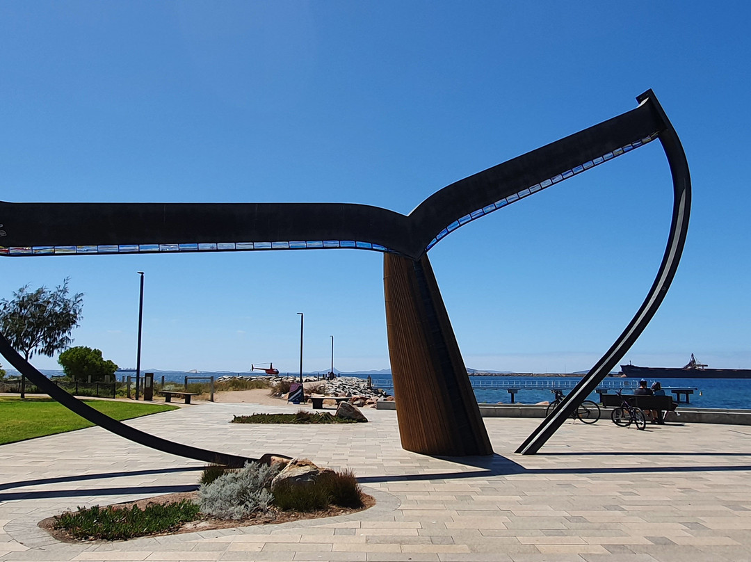 Esperance Whale Tail-埃斯佩兰斯必去景点
