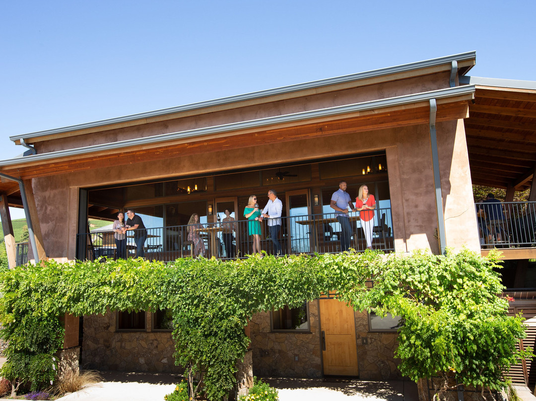 Dusky Goose Winery-Dundee必去景点