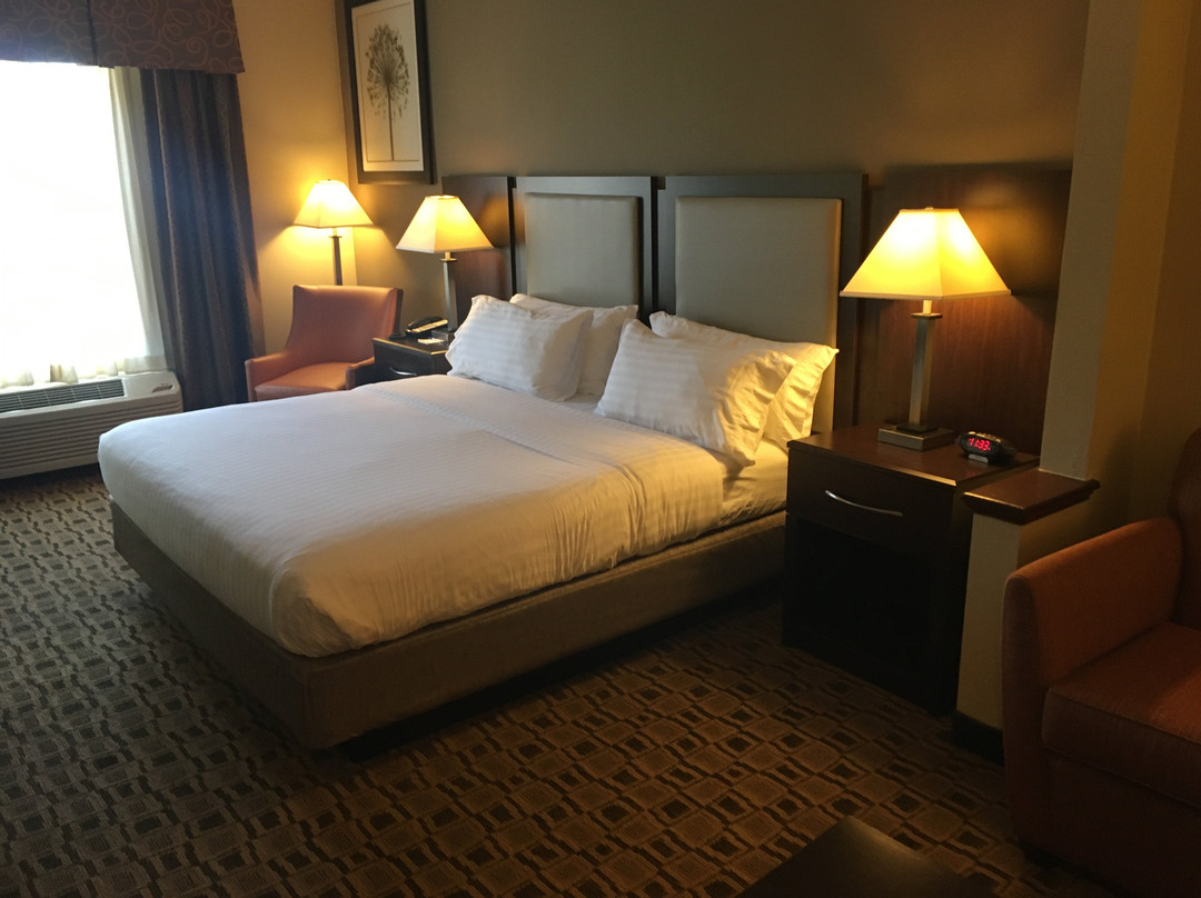 Holiday Inn Express & Suites Albemarle by IHG主图