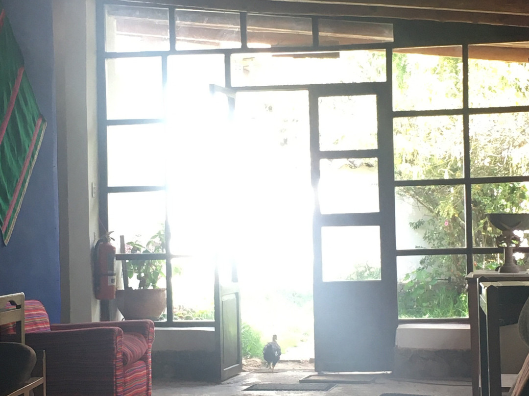 Hacienda Santa Maria - Tarma主图