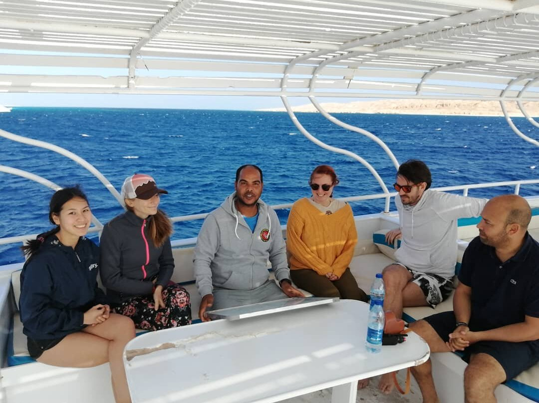 Divers Hurghada - Diving Course PADI - CMAS - SSI.-赫尔格达必去景点