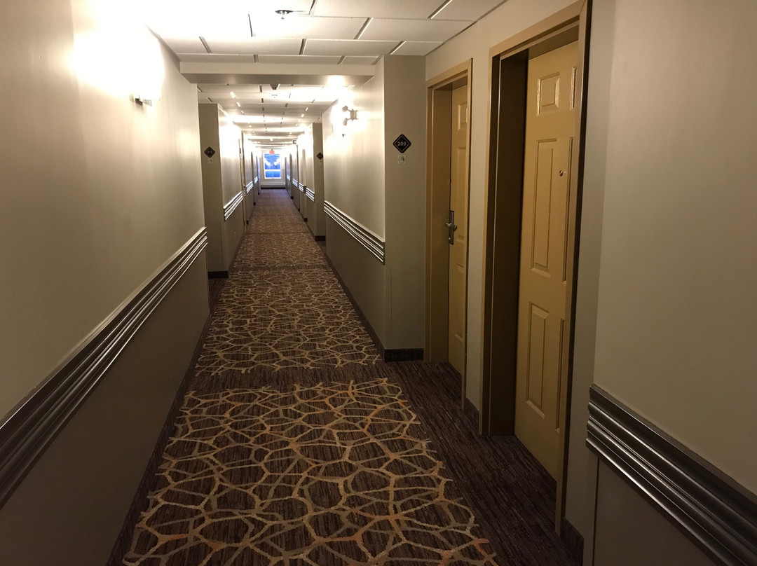 Best Western Rocky Mountain House Inn & Suites主图