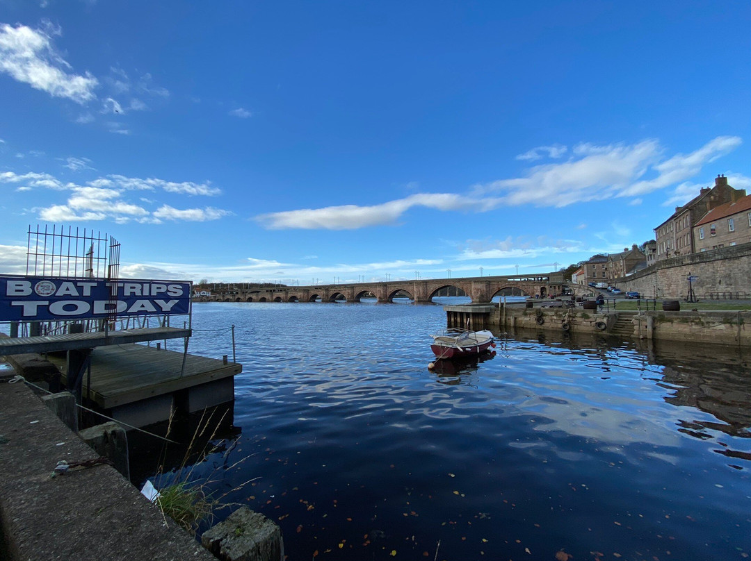 Berwick Boat Trips景点图片