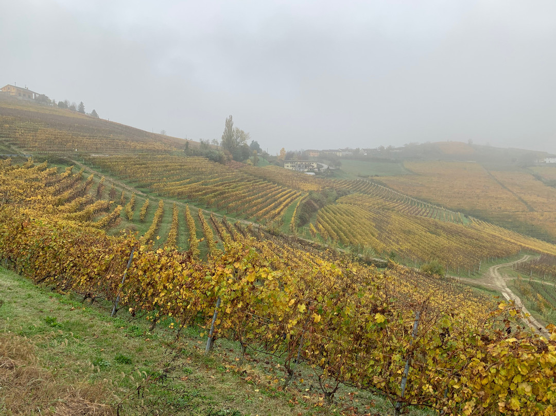 Strada Romantica delle Langhe e del Roero景点图片