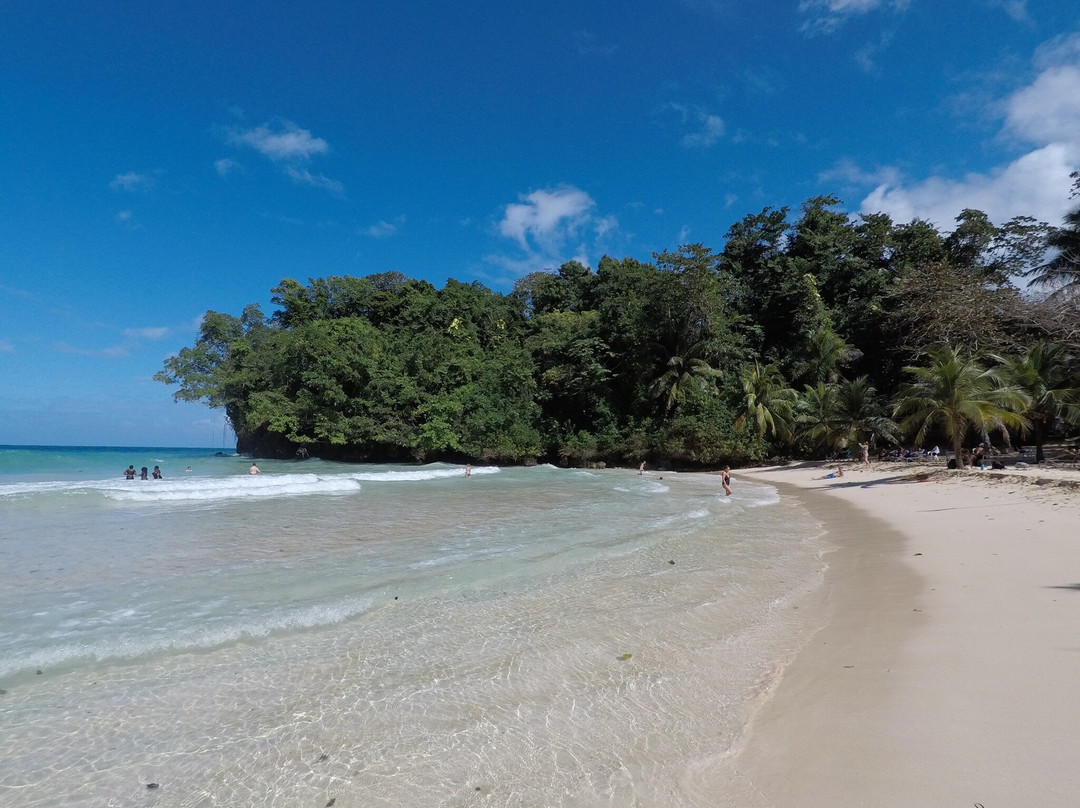 Search-Me-Heart主图