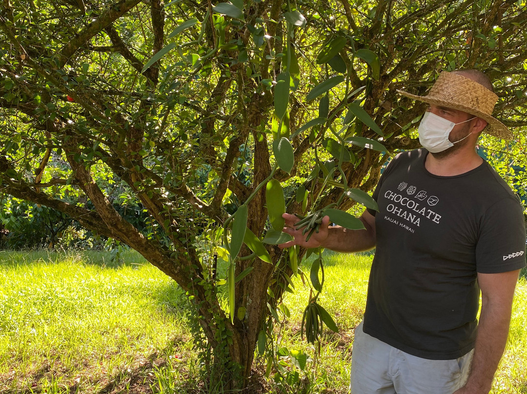 Lydgate Farms Kauai Chocolate-卡帕阿必去景点