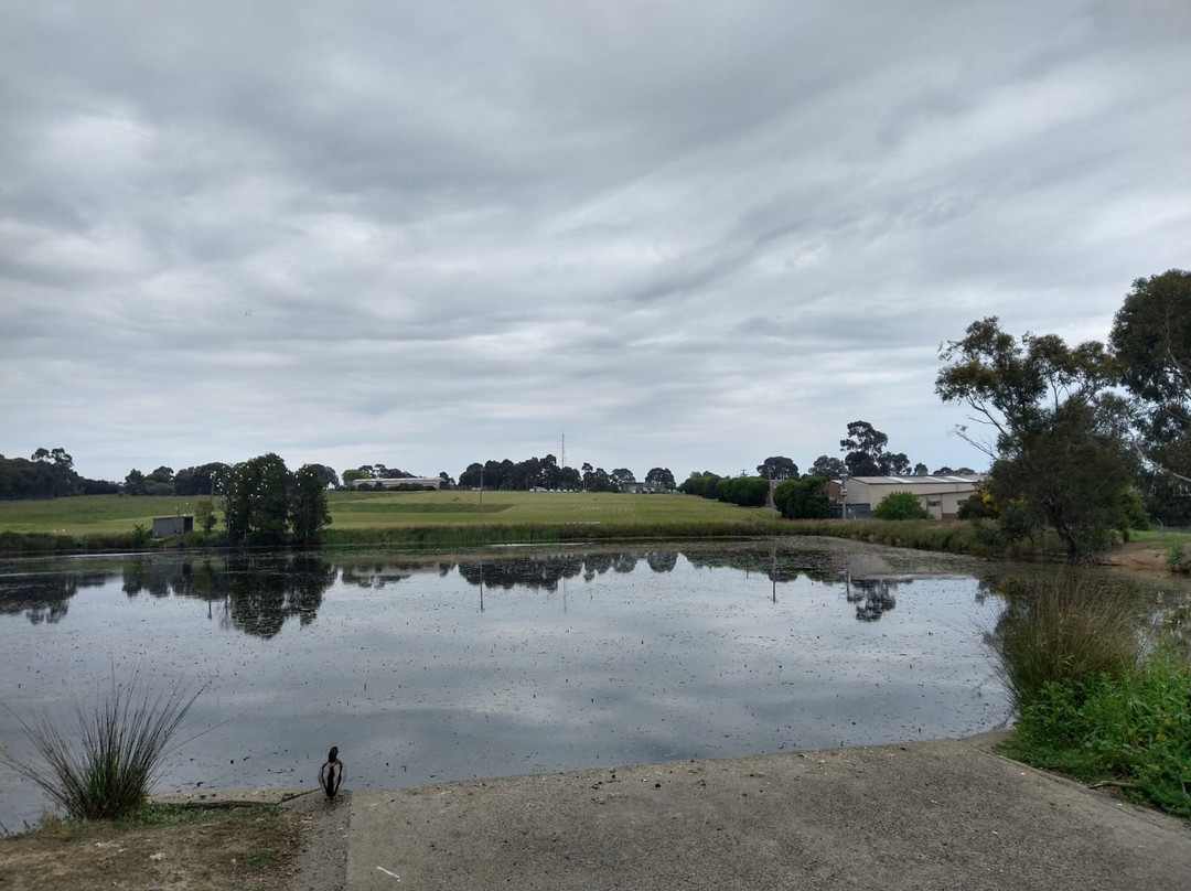 Lake Knox Sanctuary景点图片