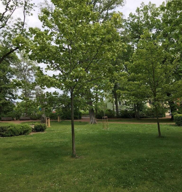 Stadtpark - mestský park景点图片