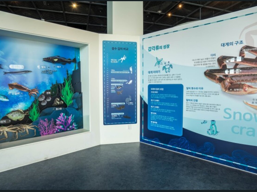 Pohang Guryoungpo Guamegi Museum-浦项市必去景点