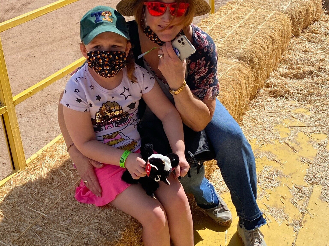 Apple Annie's Country Store-Willcox必去景点