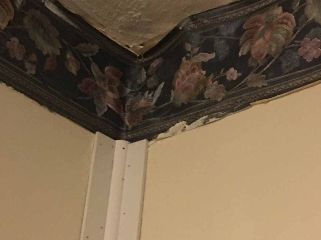 Clarks Beach Motel主图