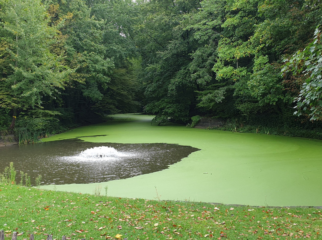 Park Van Laken-布鲁塞尔必去景点