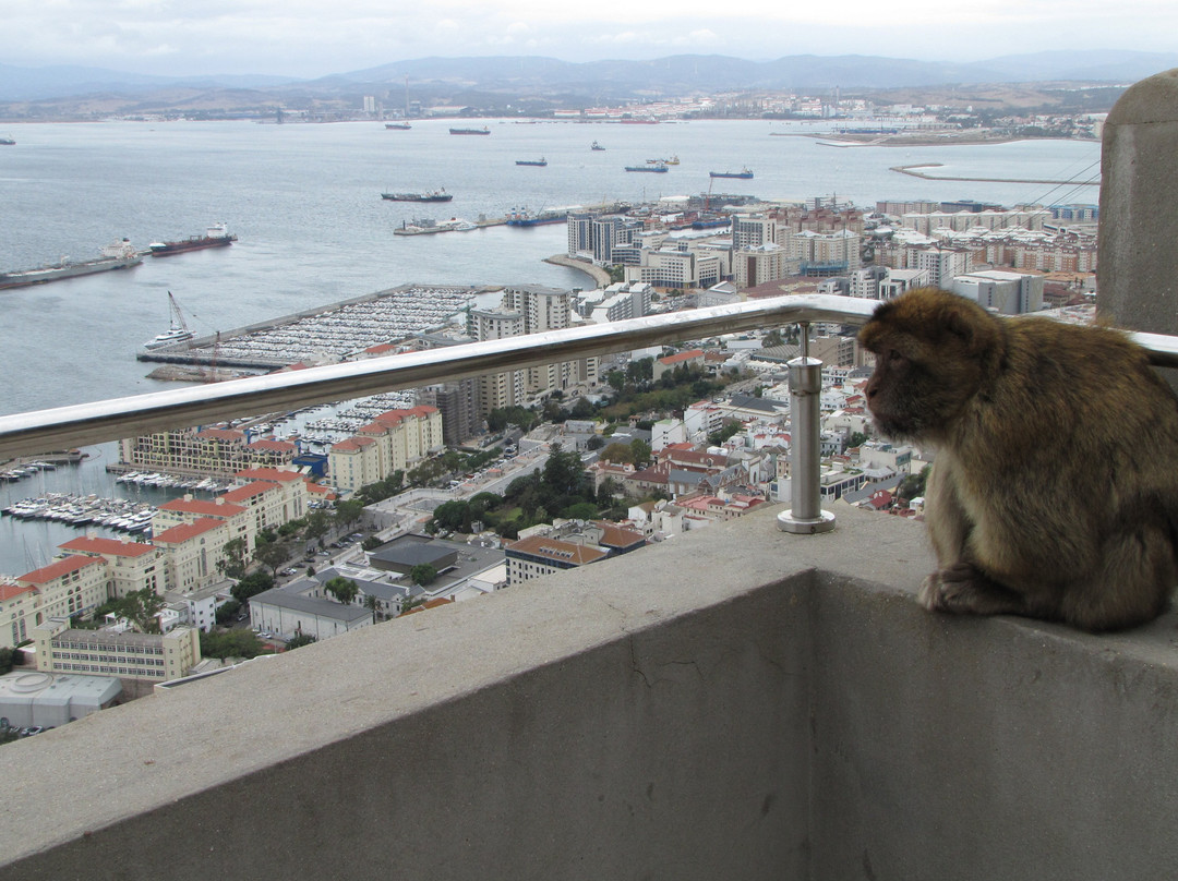 Prince Ferdinand's Battery-Gibraltar Town必去景点