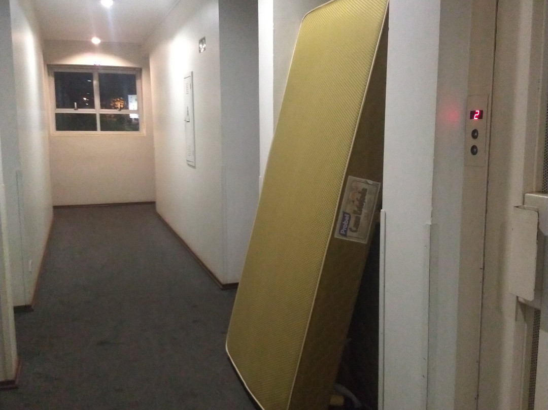 Aracatuba酒店住宿-Pekin Palace Hotel