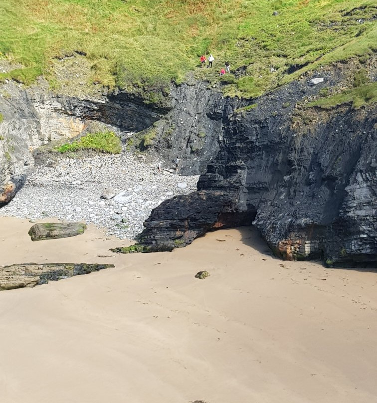 Ladies Beach-Ballybunion必去景点