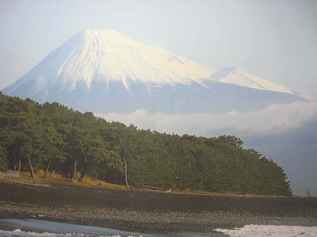 Shizuoka City Miho no Matsubara Culture & Creativity Center Mihoshirube-静冈市必去景点