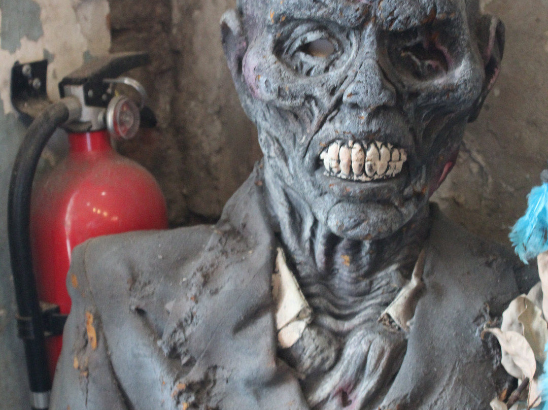 Haunted Museum & Voodoo Shop-新奥尔良必去景点