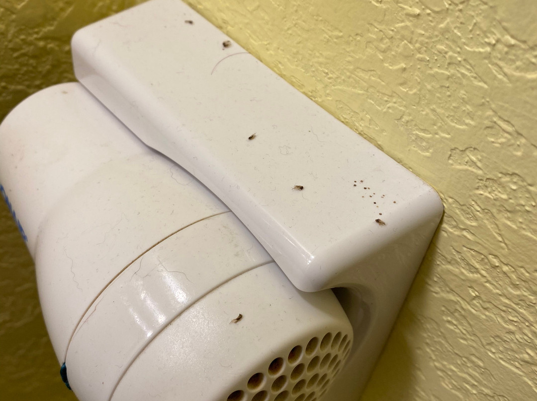 Inn at Corolla Light主图