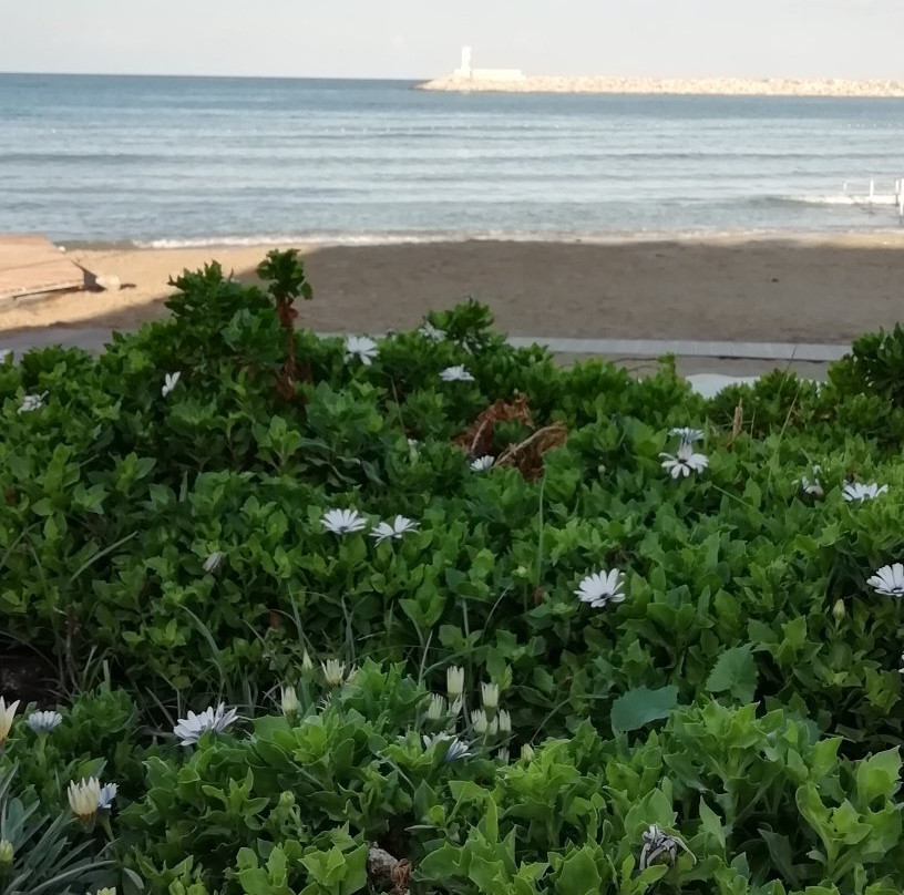 Downtown Beach-库萨达斯必去景点