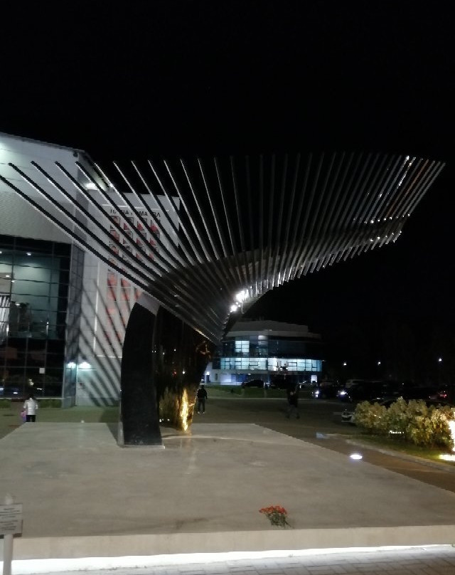 Sports Complex Arena 2000景点图片