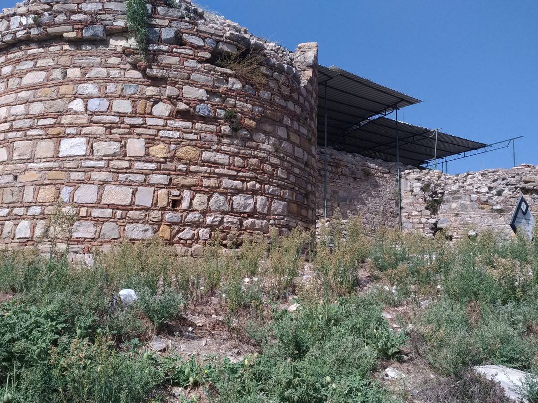 Kadikalesi Anaia Excavations景点图片