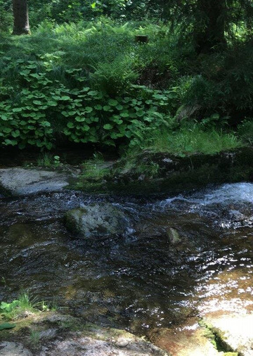 Auersbergkonig-Eibenstock必去景点