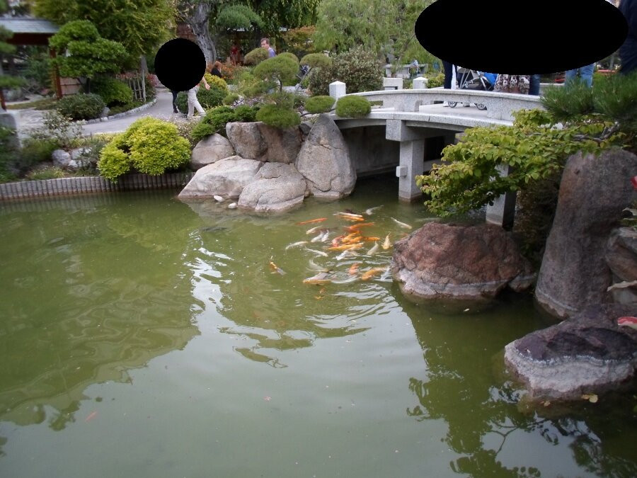 Champions Promenade-蒙特卡洛必去景点