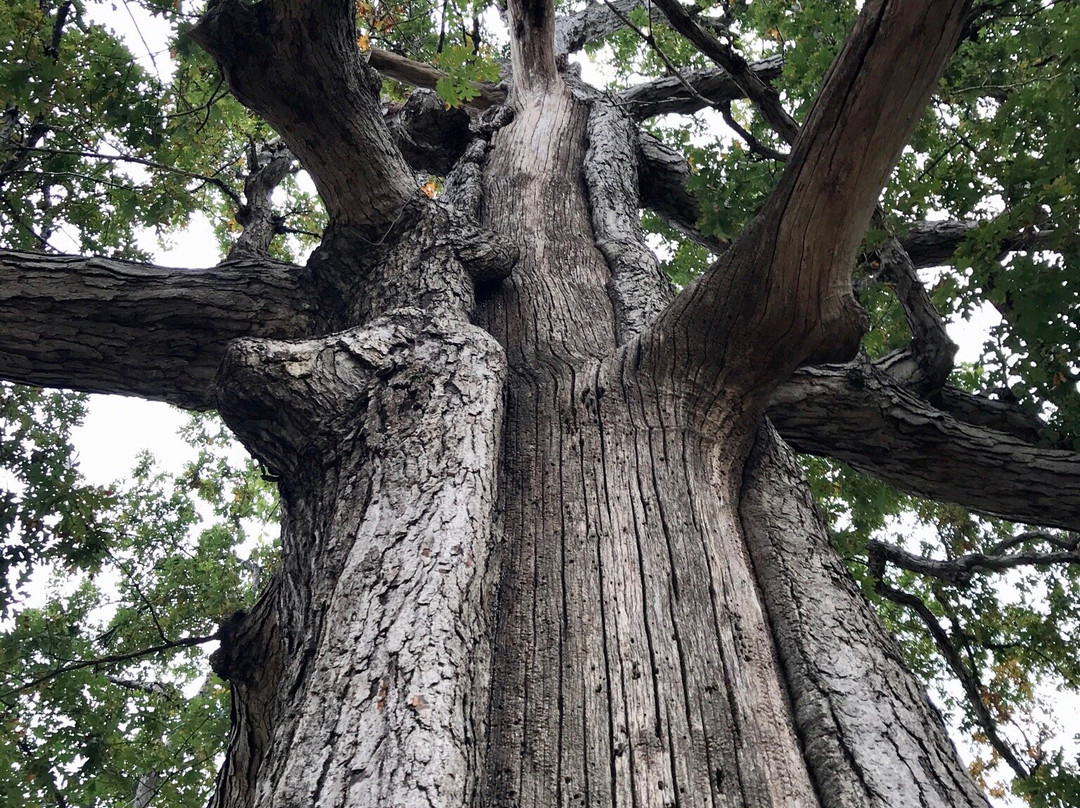 Olney City Park-Olney必去景点