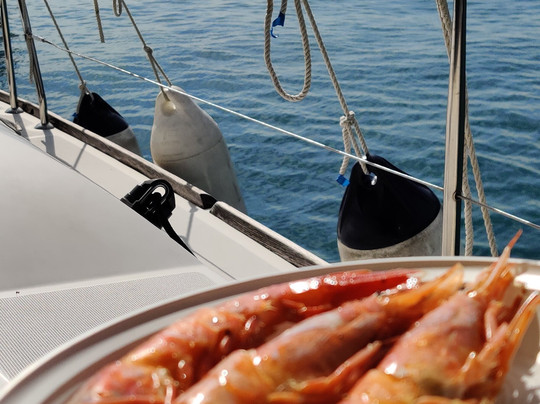 Madyson Sailing-拉斯佩齐亚必去景点