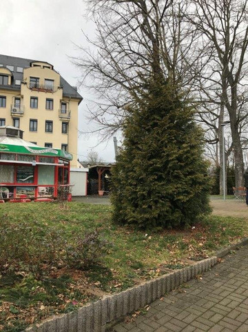 Vogtland-Garten主图