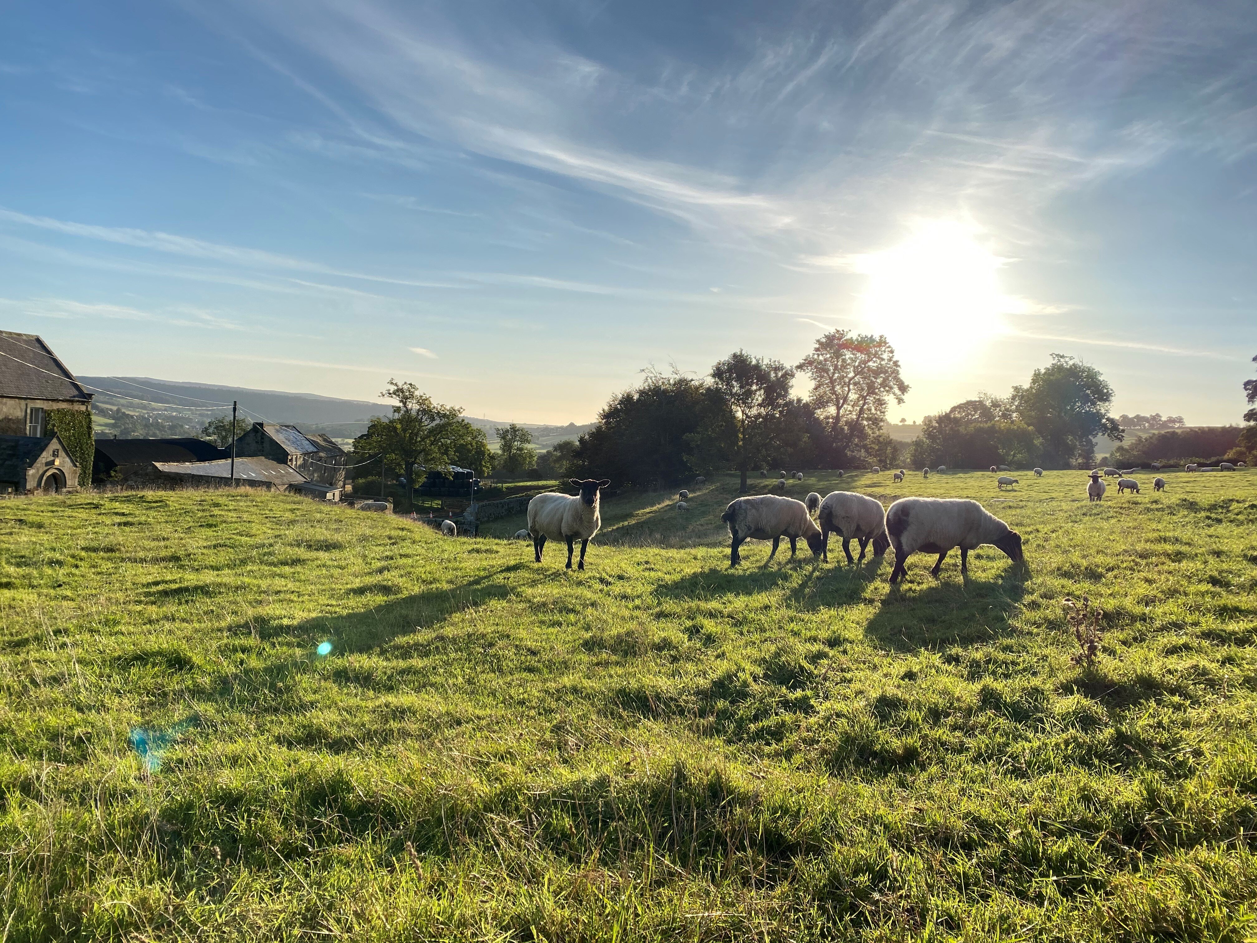 Tosson Tower Farm-浴室