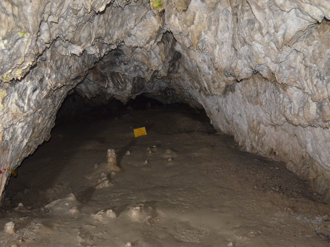 Polovragi Cave-Polovragi必去景点