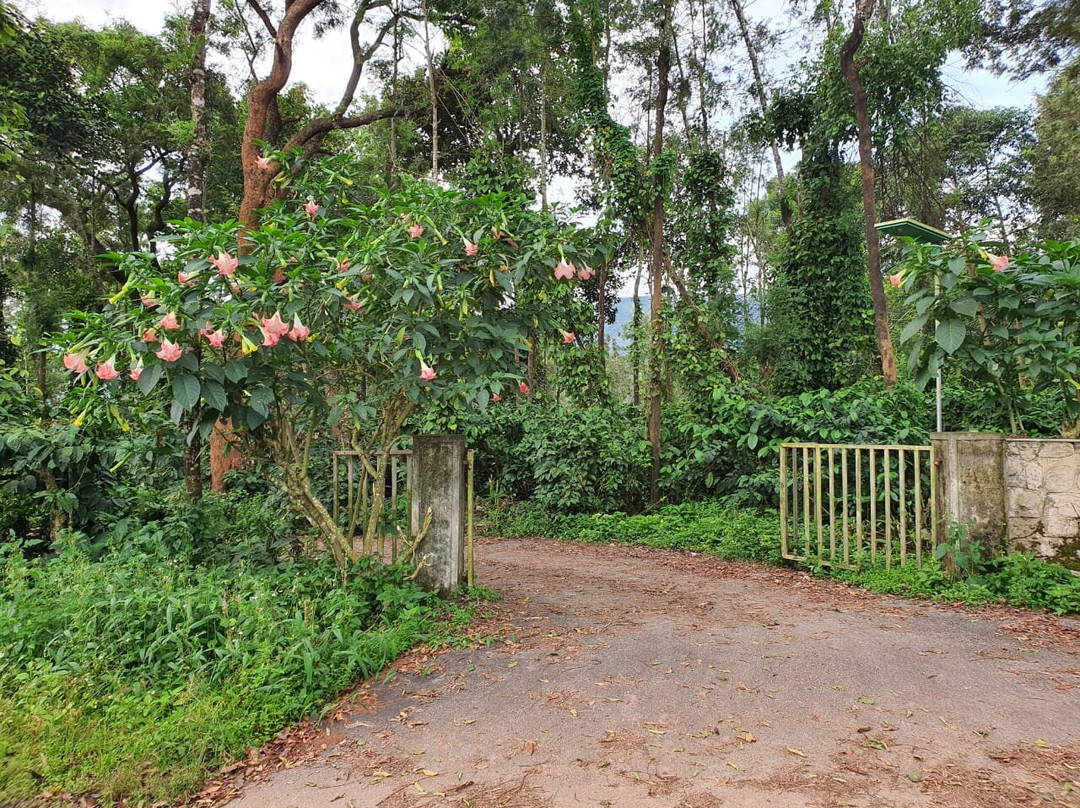 Turtle Pond Home Stay主图